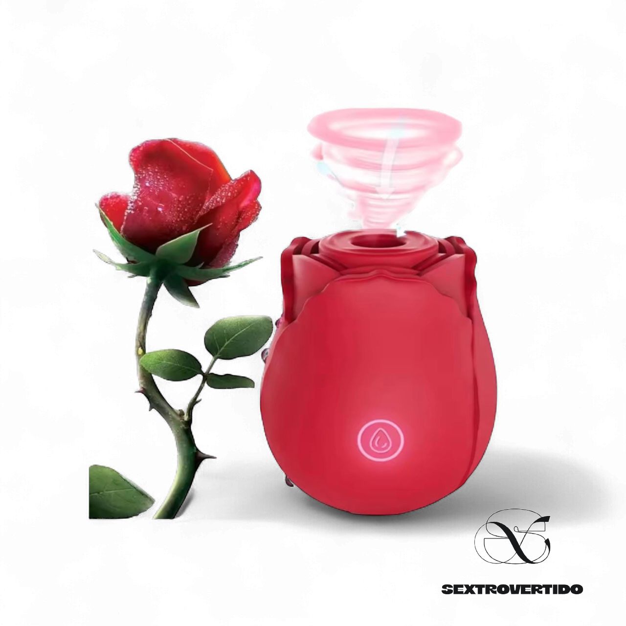 Rosa Venus